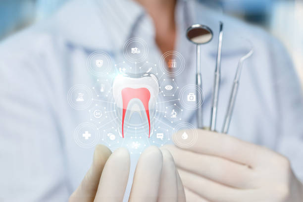 Best Preventive Dentistry  in Boulder Hl, IL